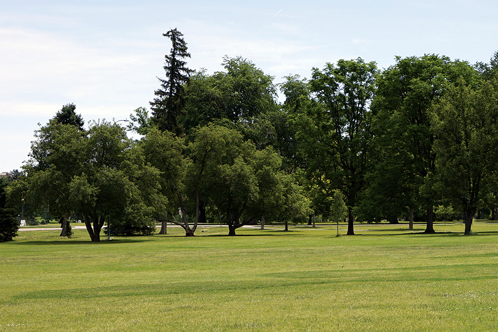 Greener Grove - 1 Greener Grove - 1