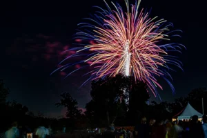 Fireworks over a tree line
