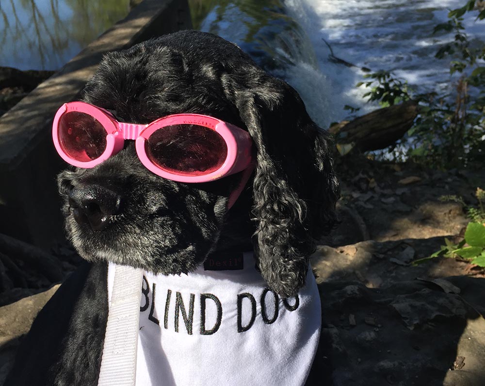 15. Slainte - PHOTO 1