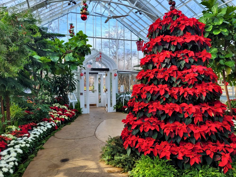 EM Spotlight - Holiday Flowers