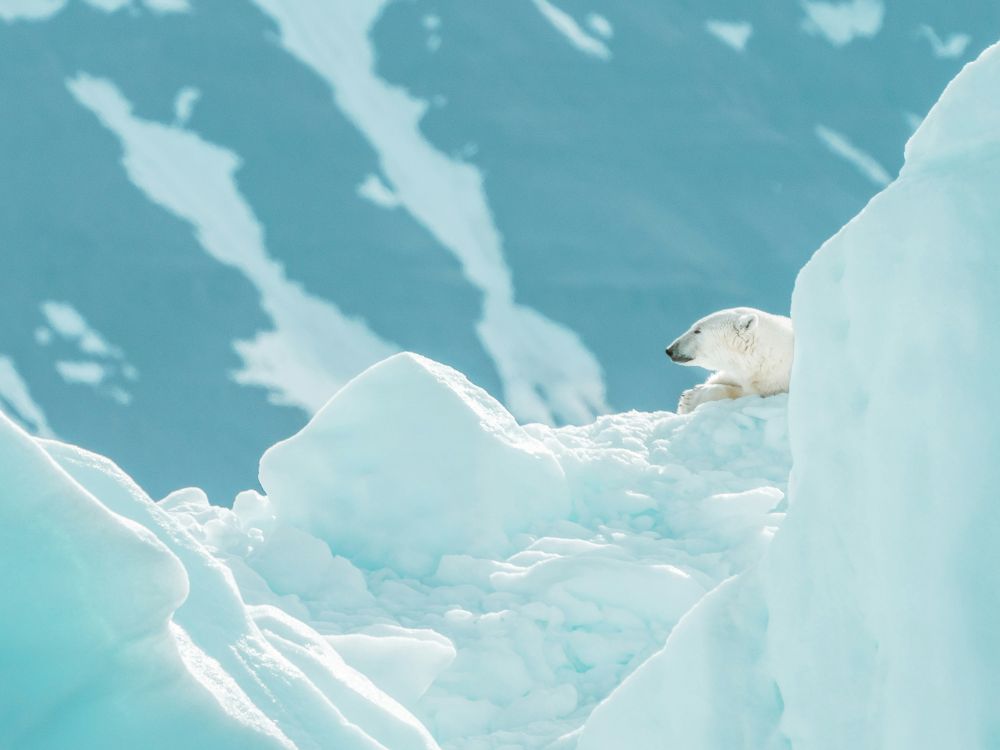 The Arctic
<i>Photo by Annie Spratt</i>