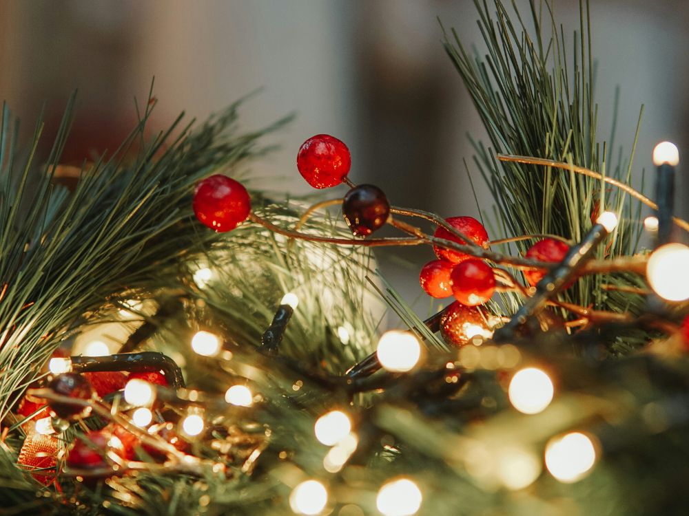 HM, DG, OB, Out & About - Christmas Displays